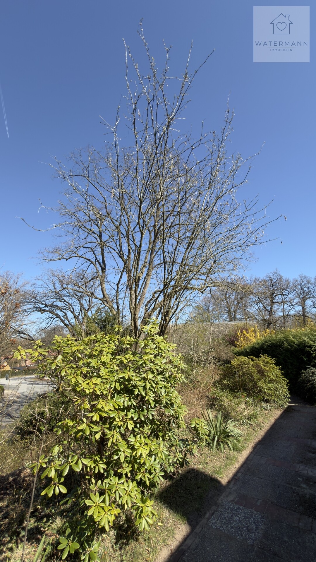 Gartendetail