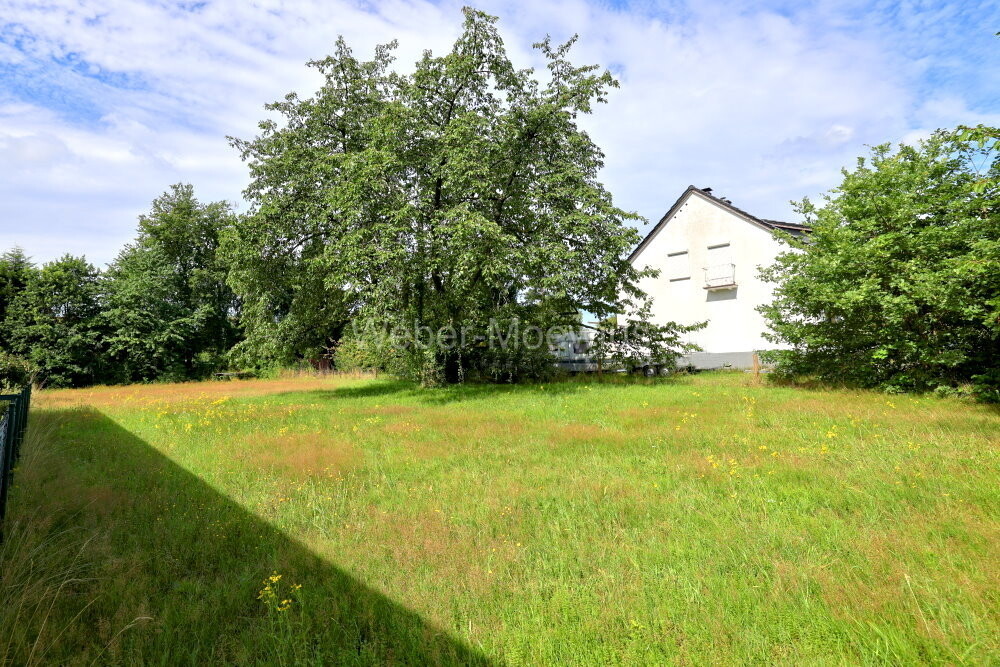 3421-BG Grundstücksansicht b