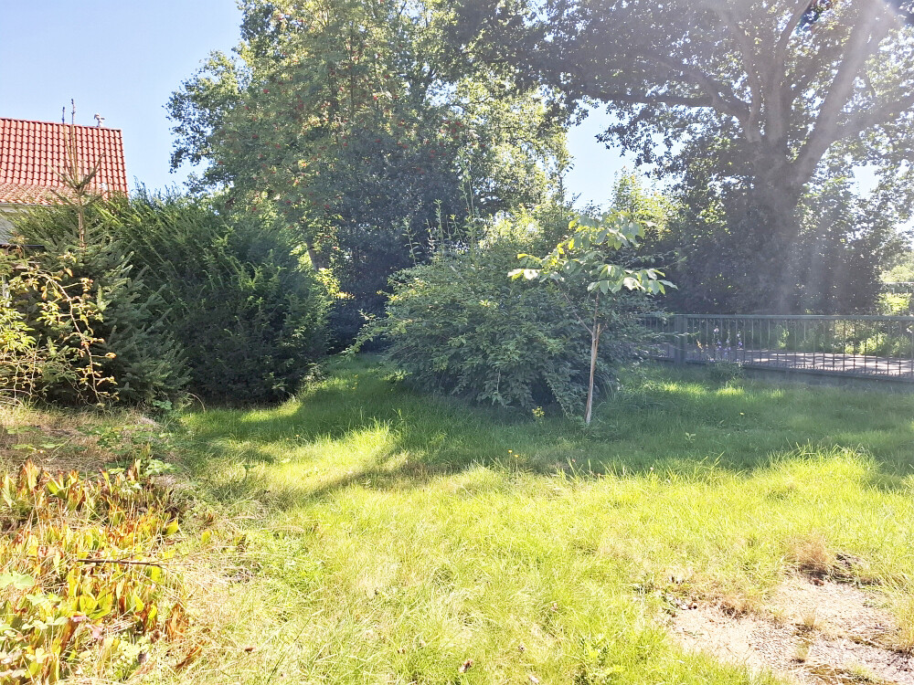 Vorgarten