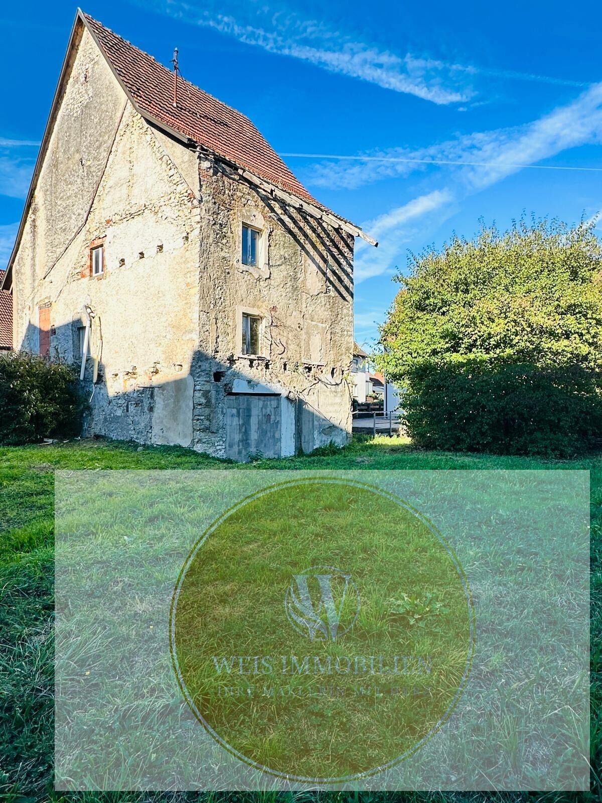 65f17307-b542-40d1-a134-8da44172c47a