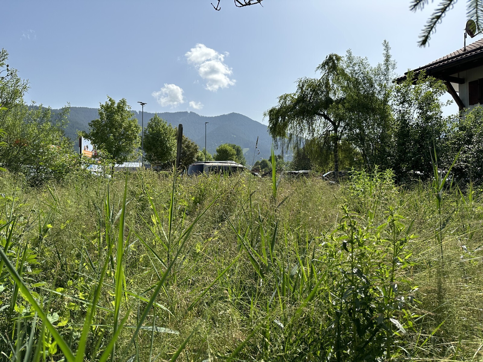 Blick von Grundstück Richtung Ammer
