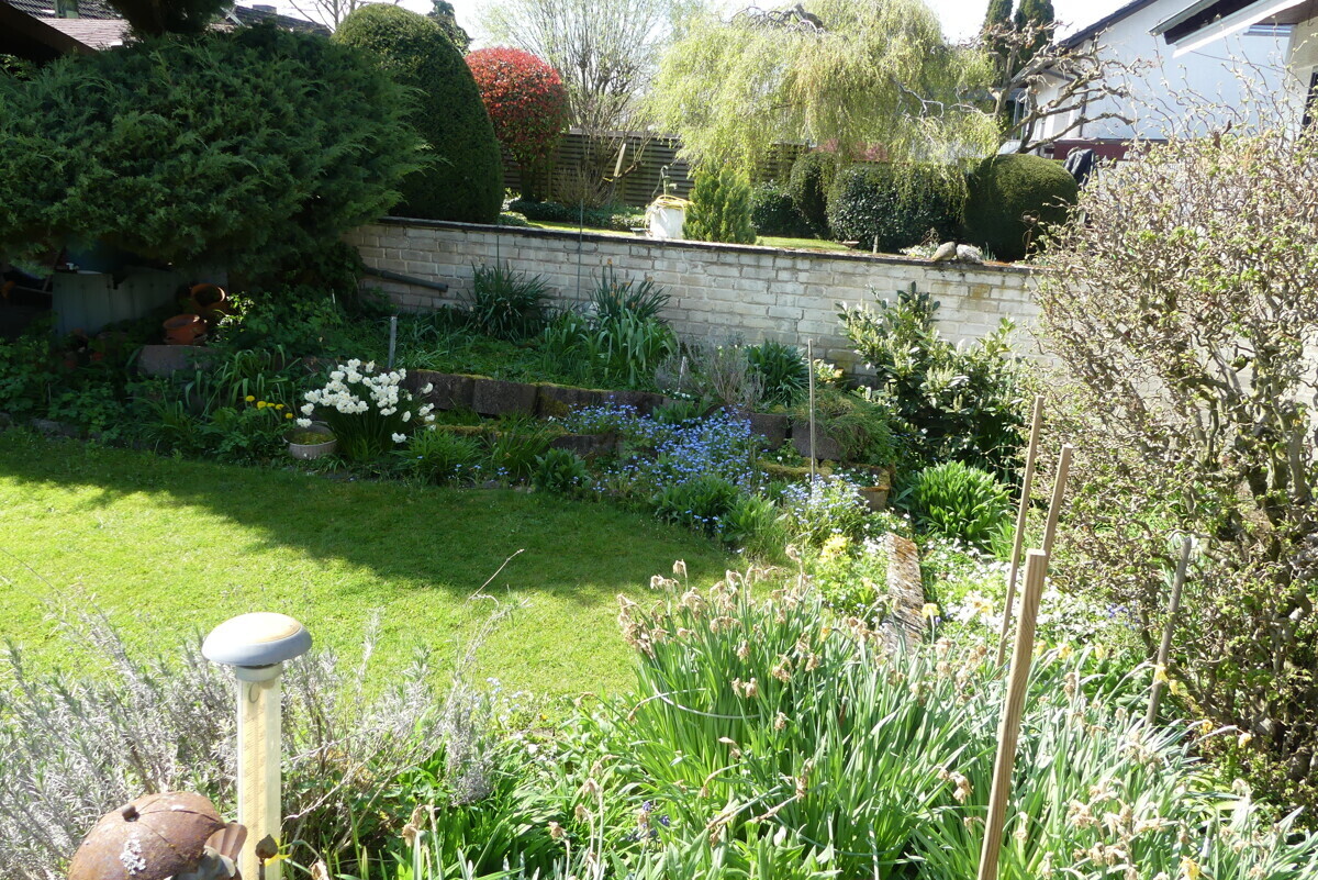 Gartenansicht