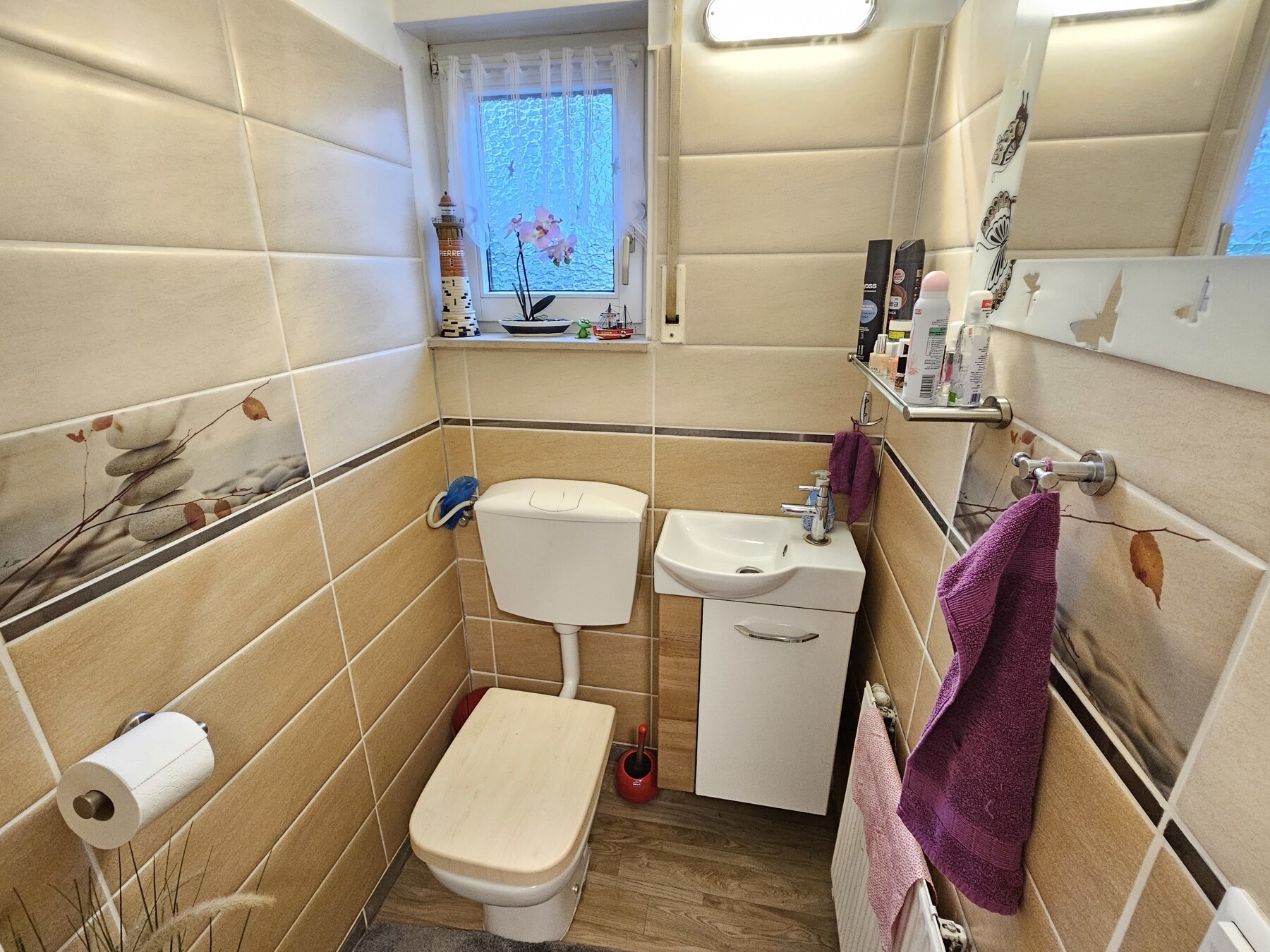 separates WC