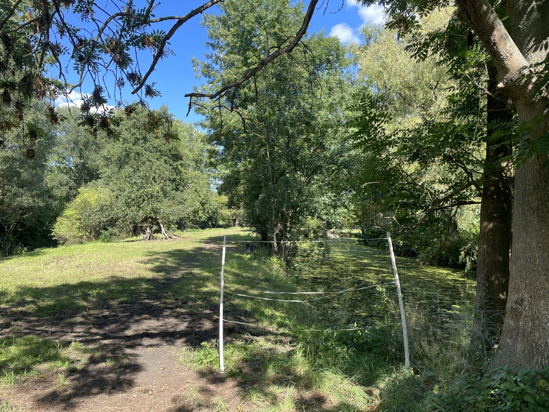 Parkgrundstück