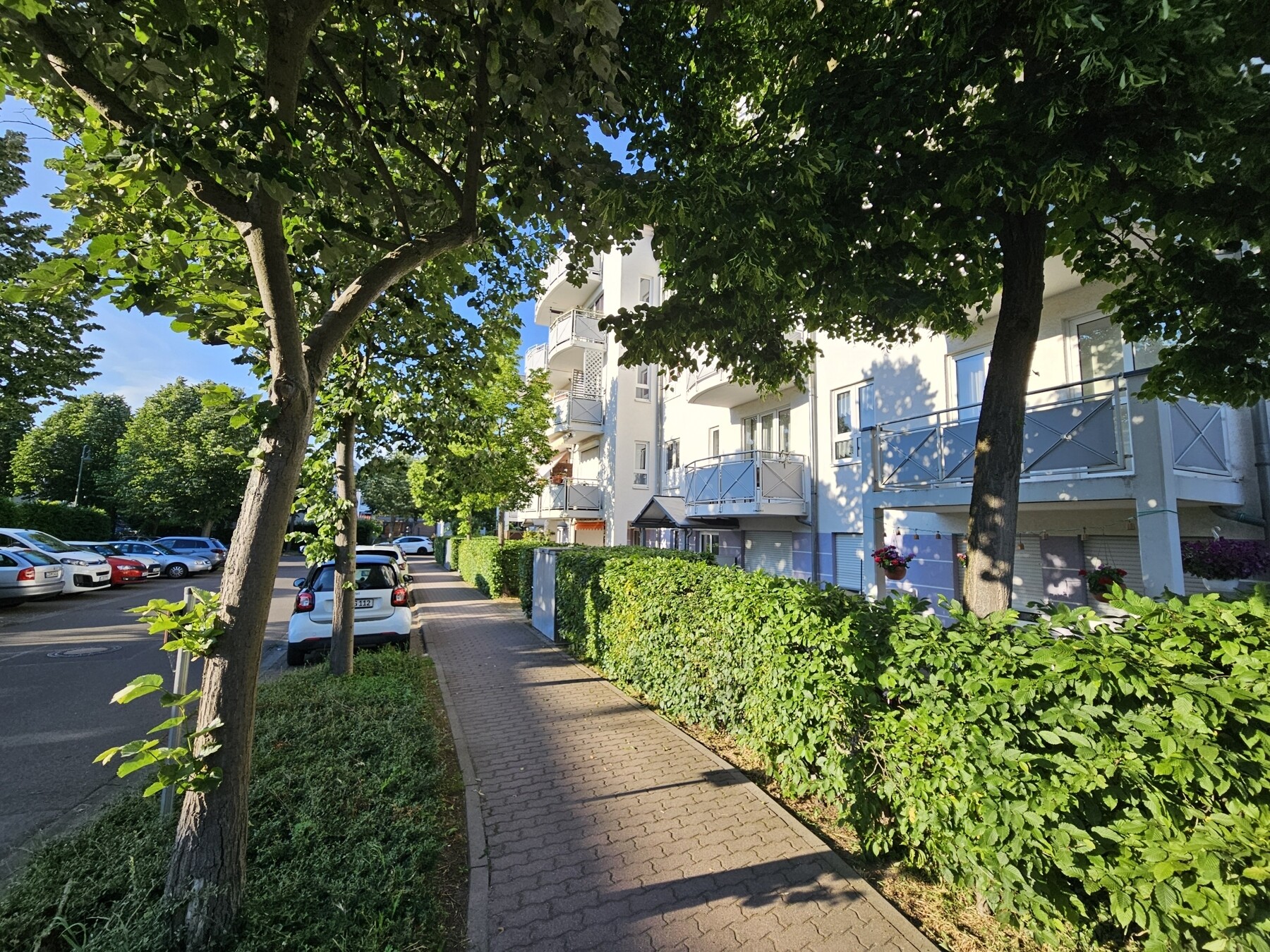 Blick von der Straße