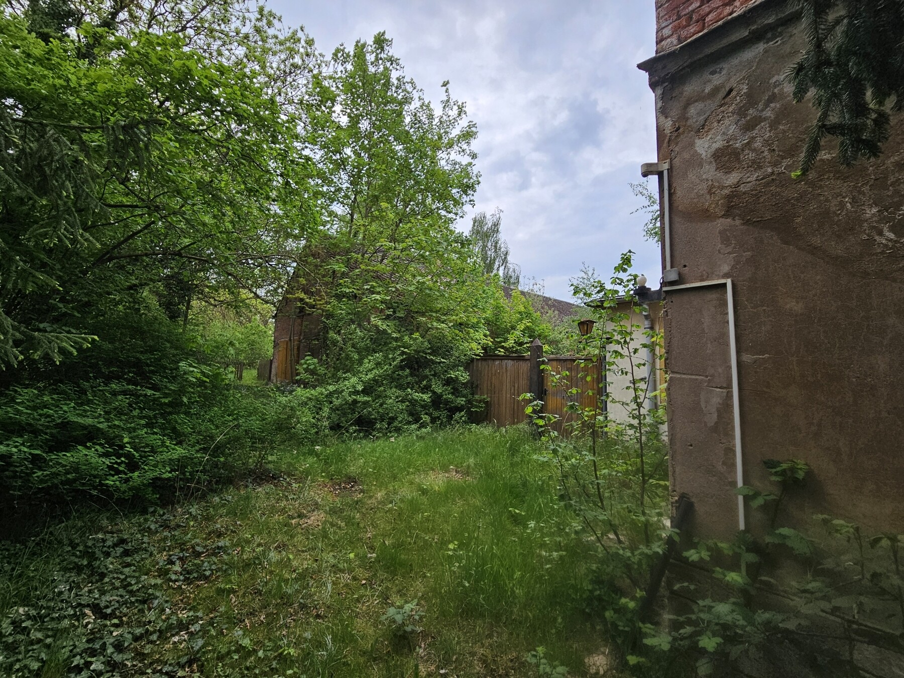 Eingang 
