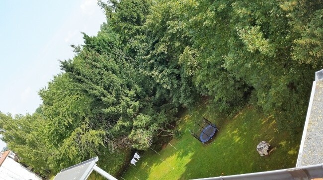 Blick in den Hausgarten