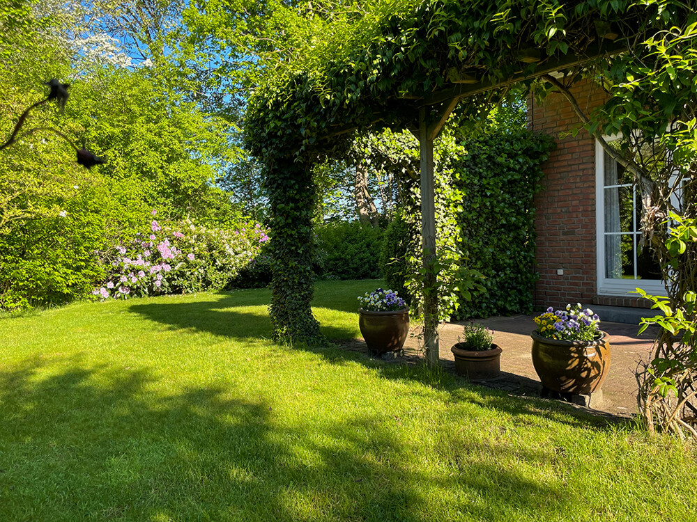 Garten und Terrasse im Frühjahr