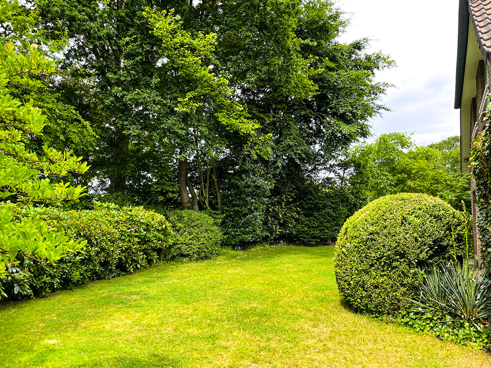 Garten im Sommer