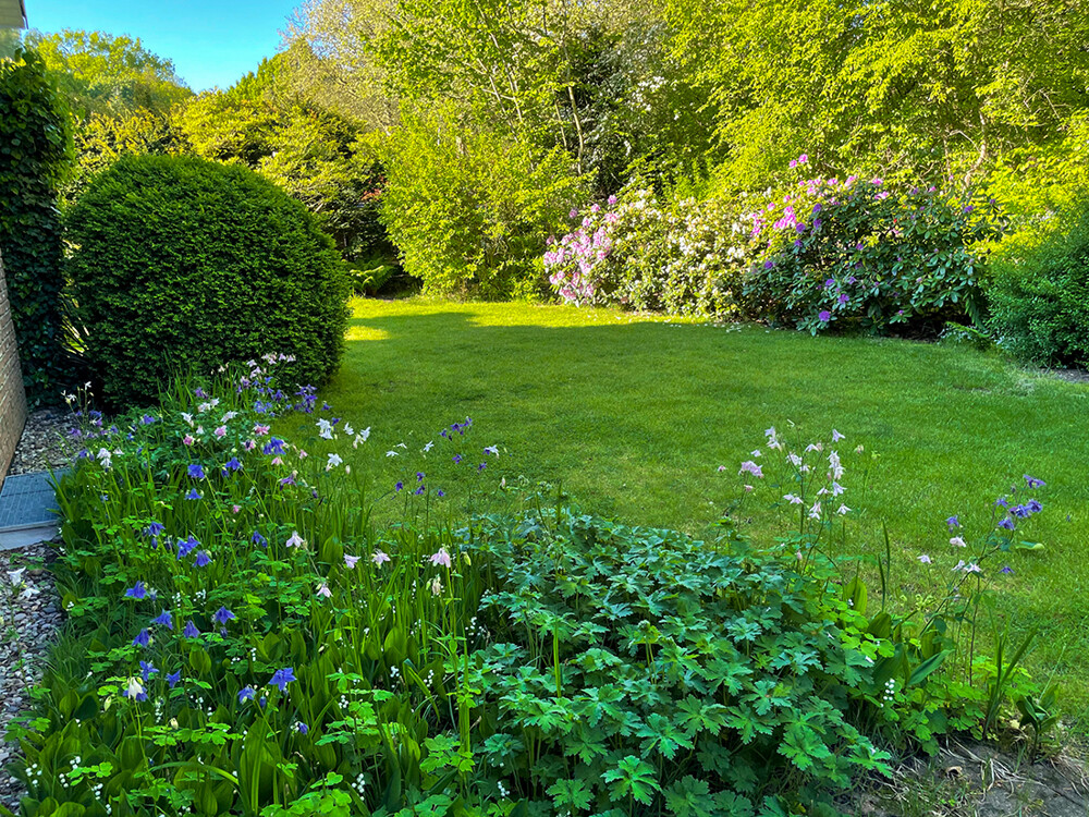 Garten im Sommer