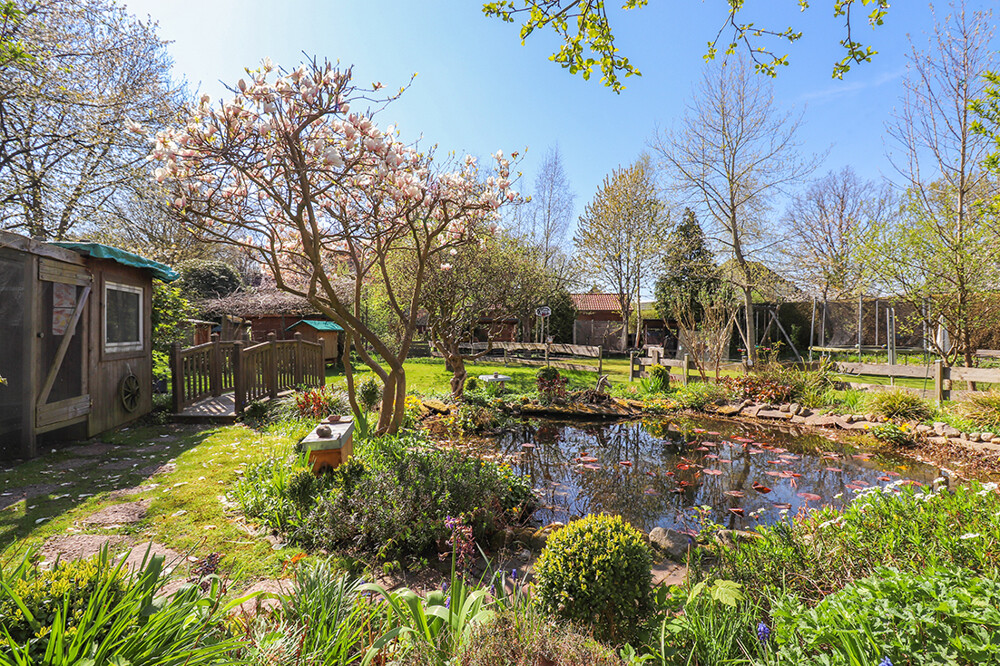 Garten mit Teich