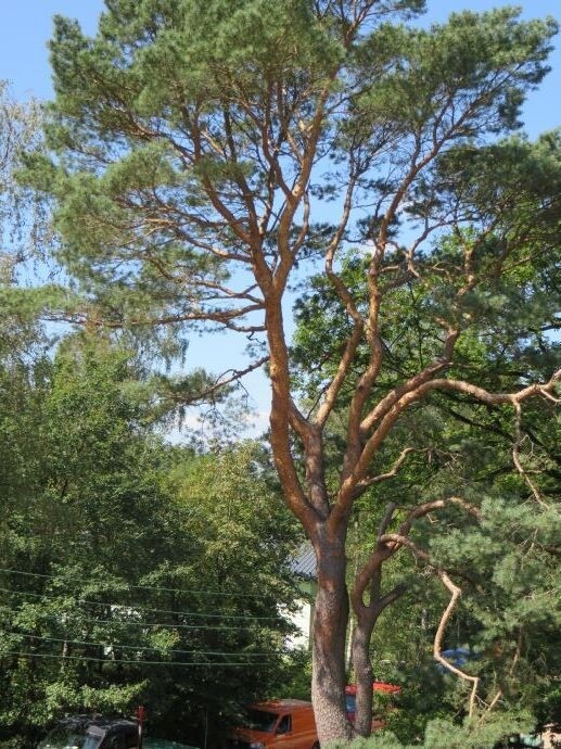 Blick von der Dachterrasse
