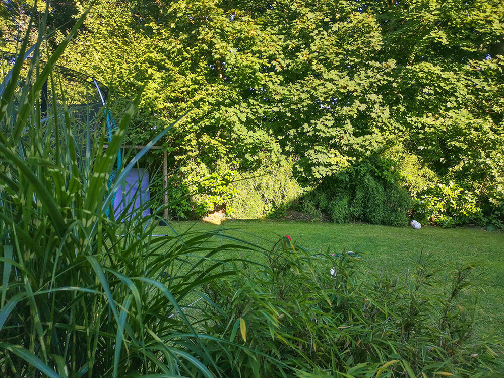 Garten im Sommer