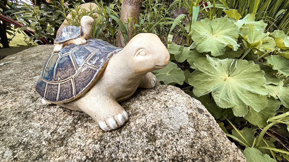 Gartenbewohner