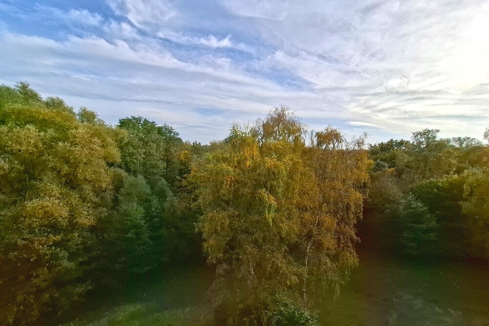 Ausblick in Richtung Kupferteich 