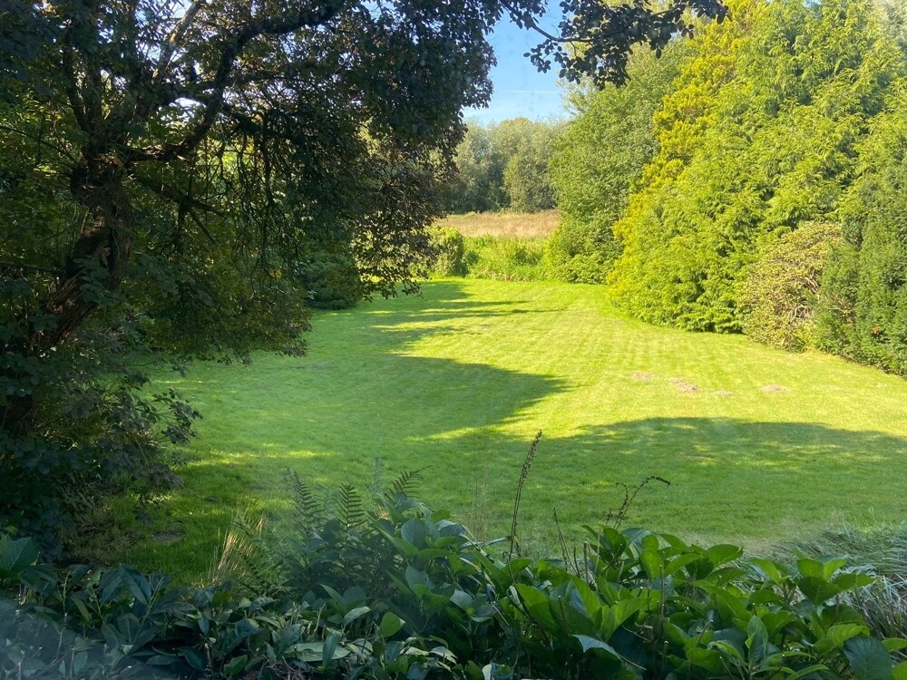 Grundstück im Sommer
