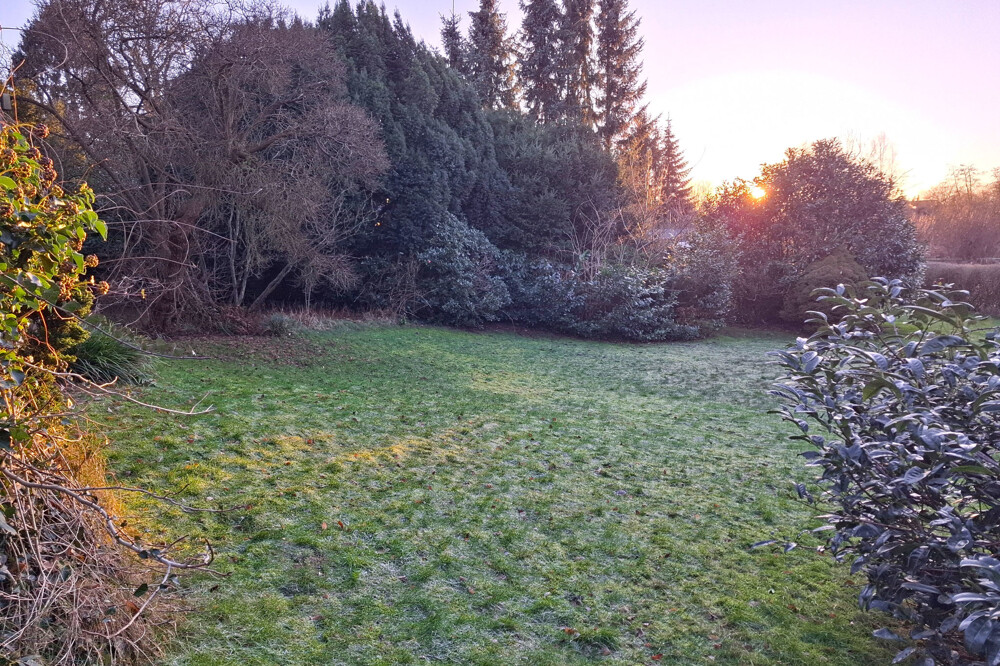 Grundstück
