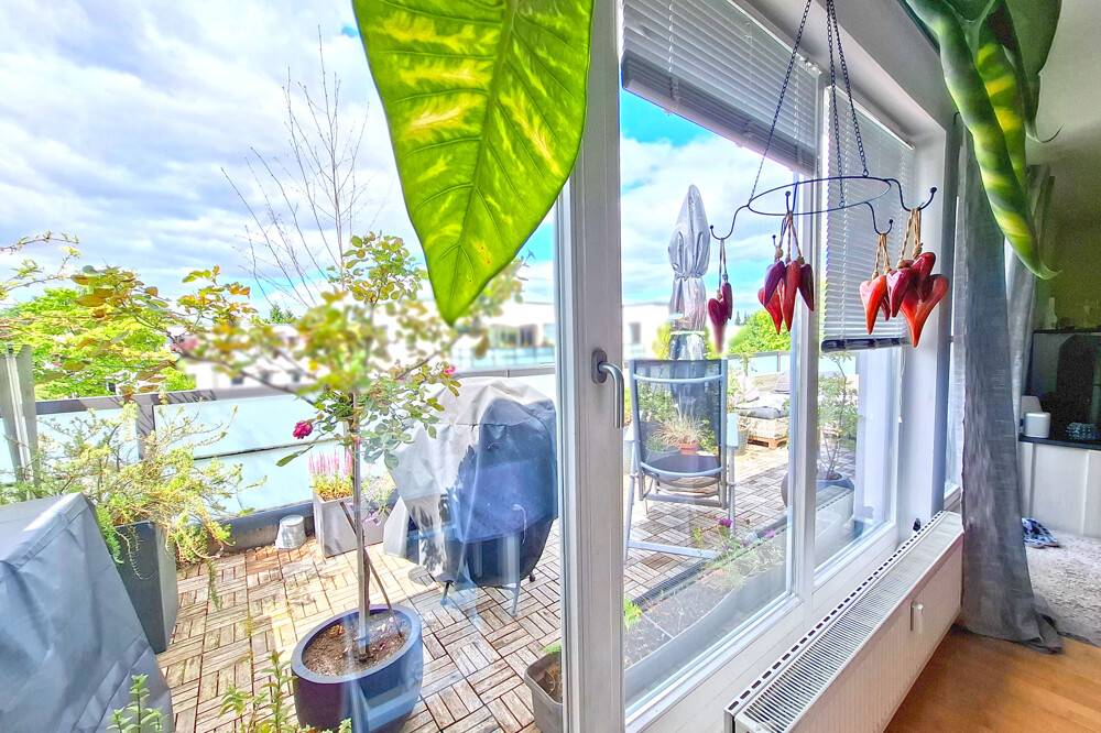 Immobilienbild