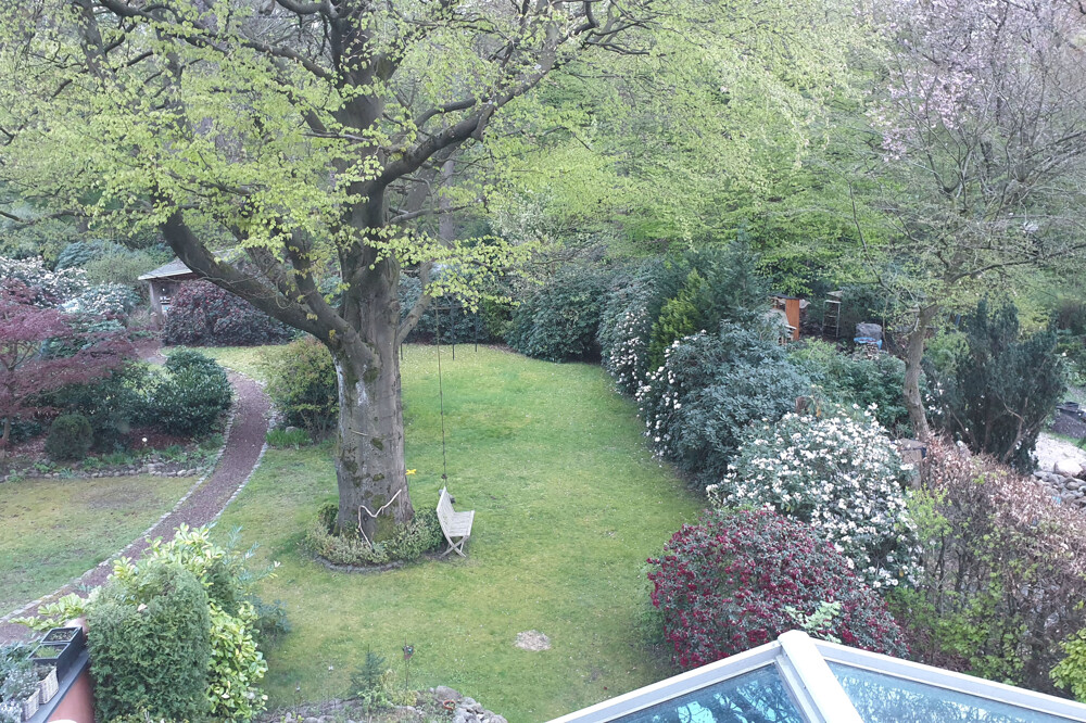 Blick in den Garten