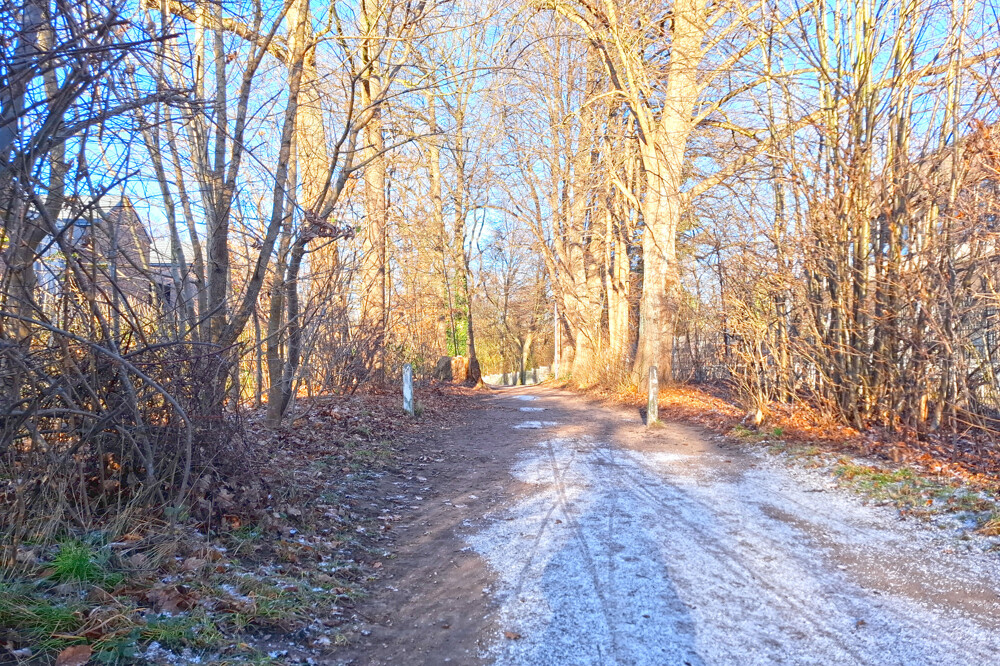 Wald um die Ecke