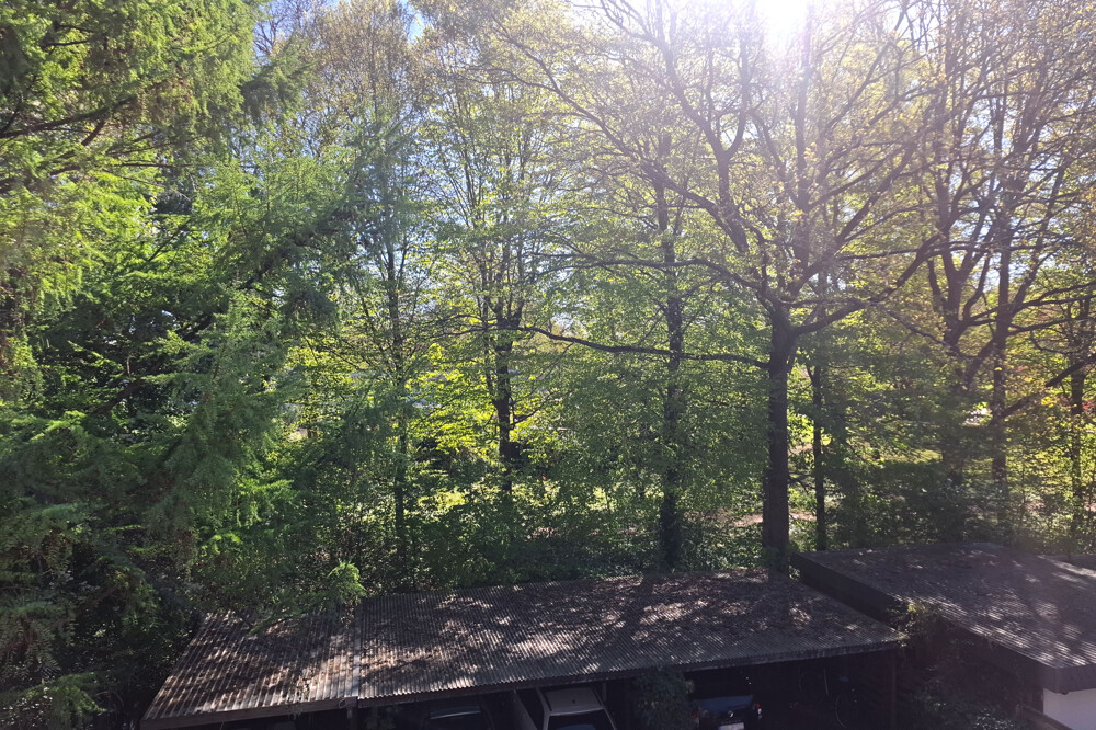 Ausblick