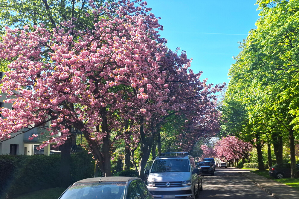 Ruhige Wohnstraße