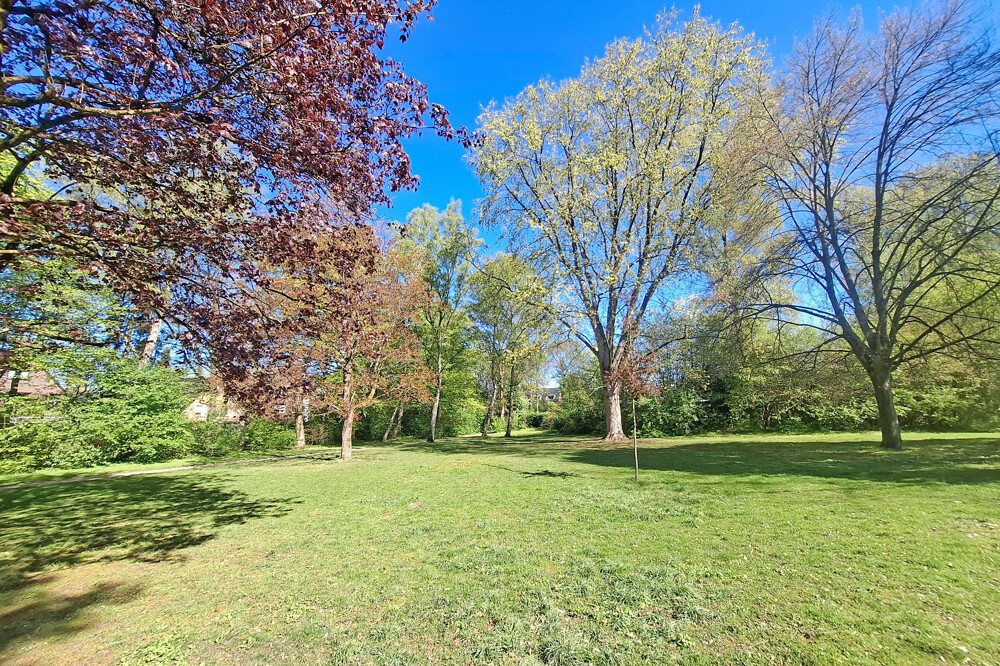 Park hinter dem Haus