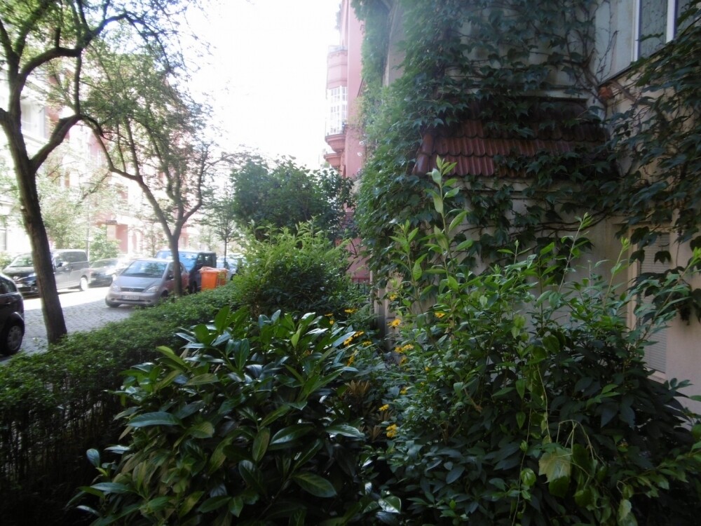 Vorgarten vorm Gebäude