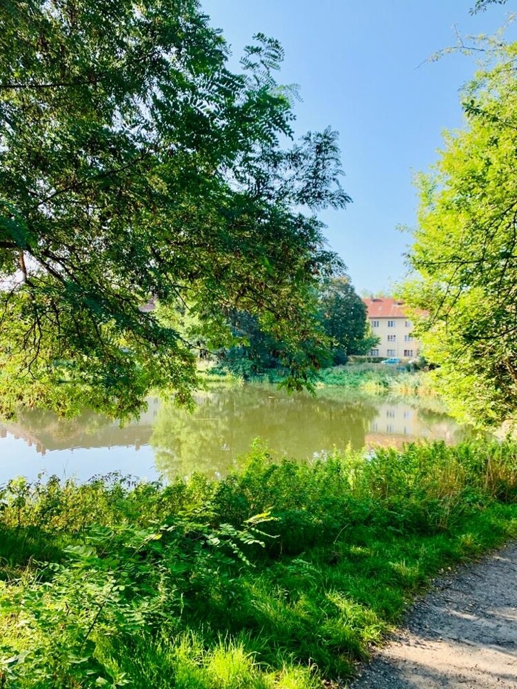 WhatsApp Image 2020-09-14 at 10.45.10 (3)