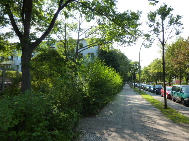 P1020477