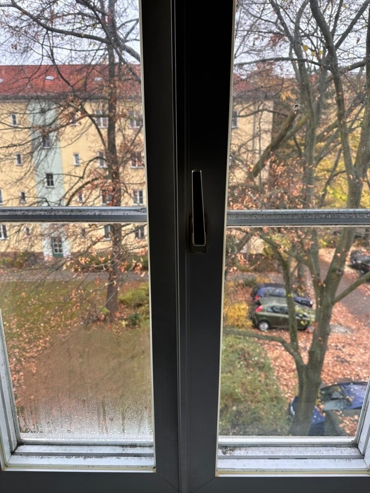 WhatsApp Image 2024-11-15 at 10.43.30 (1)