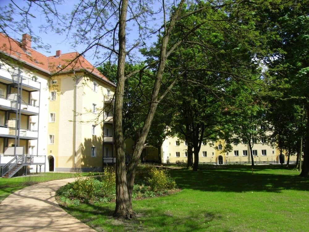 RIMG0024