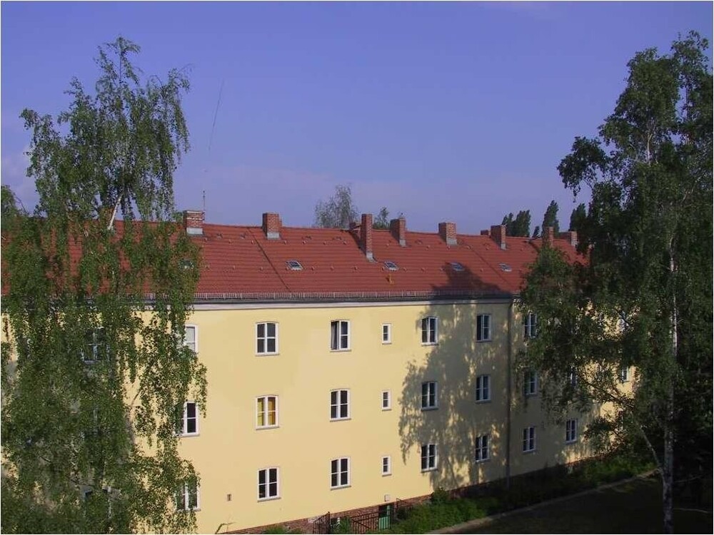 Bild1