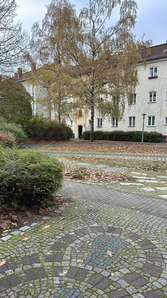 WhatsApp Image 2024-11-15 at 10.43.42