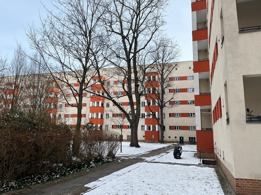 WhatsApp Image 2026-02-19 at 11.53.30