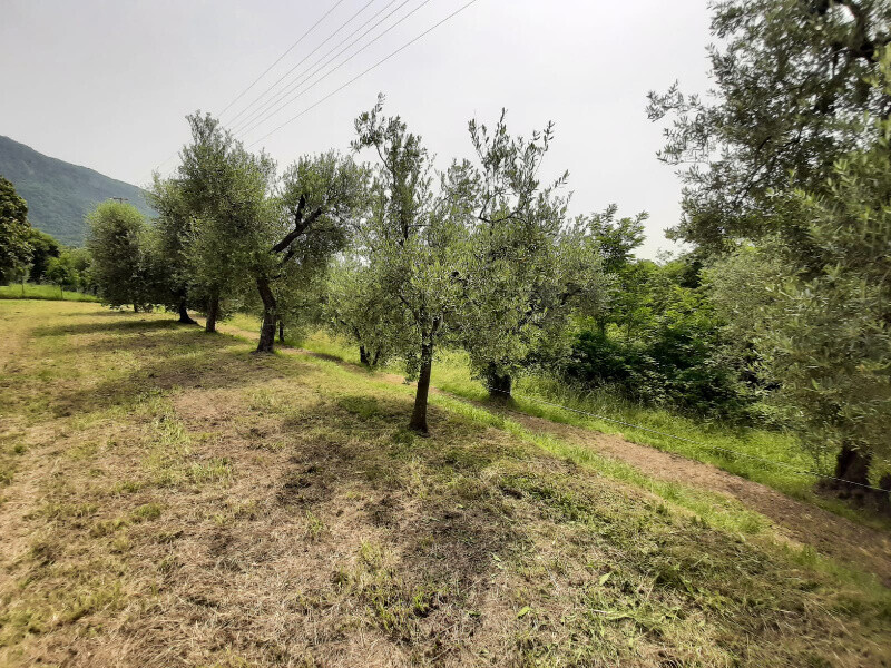 Immagine della proprietà