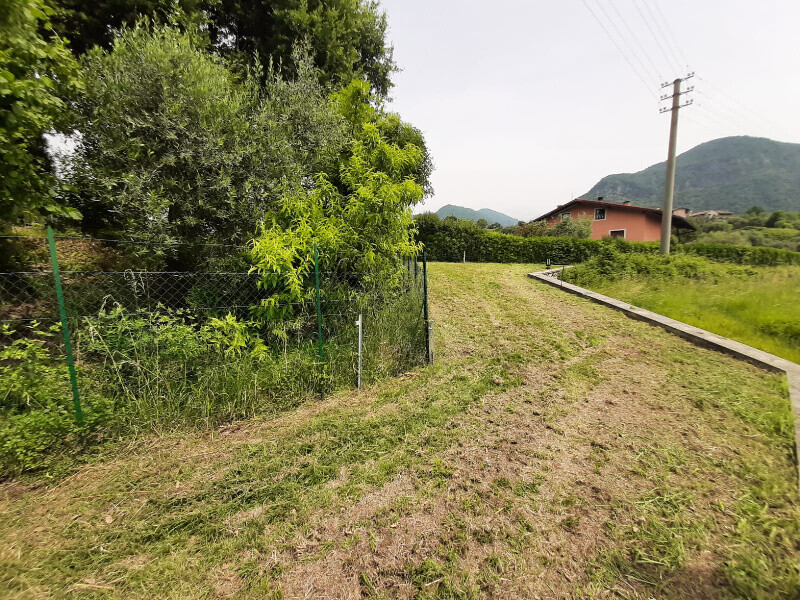 Immagine della proprietà