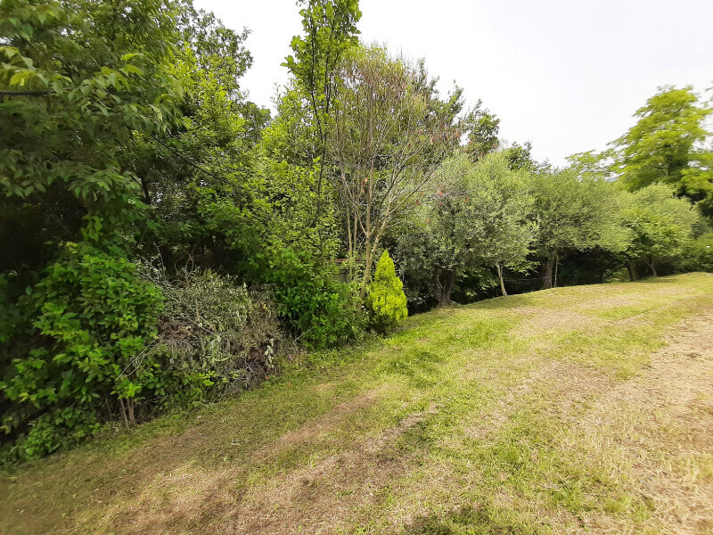 Immagine della proprietà