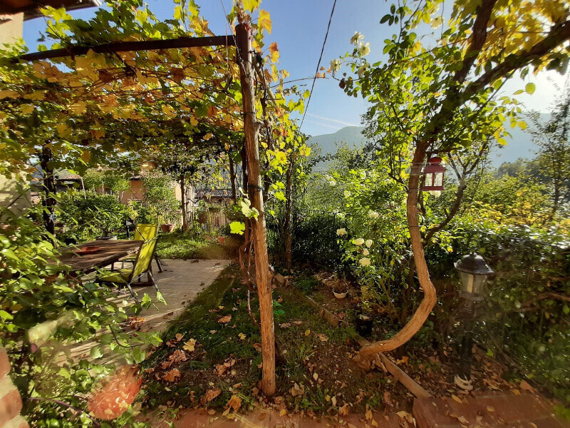 Immagine della proprietà