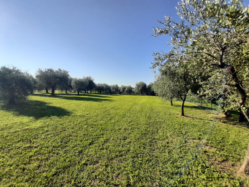 Immagine della proprietà