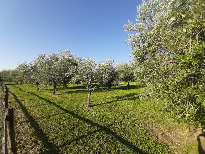 Immagine della proprietà