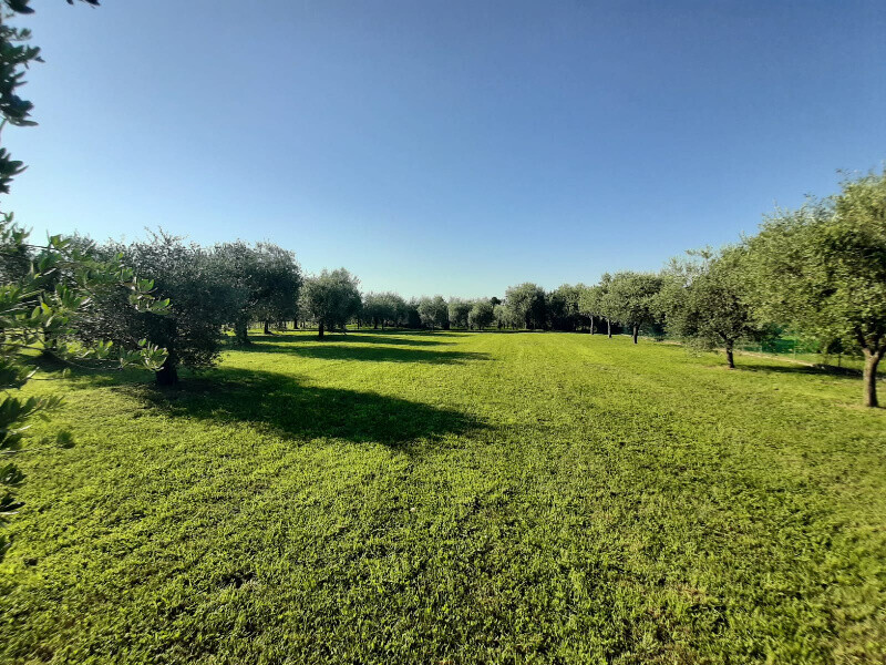 Immagine della proprietà