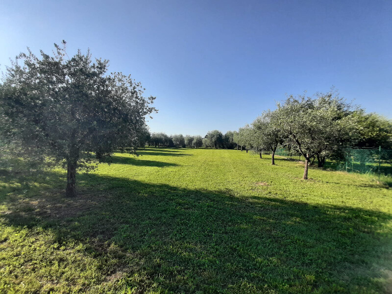 Immagine della proprietà