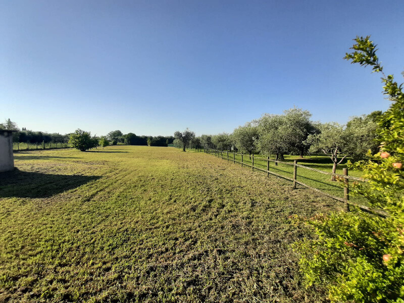 Immagine della proprietà