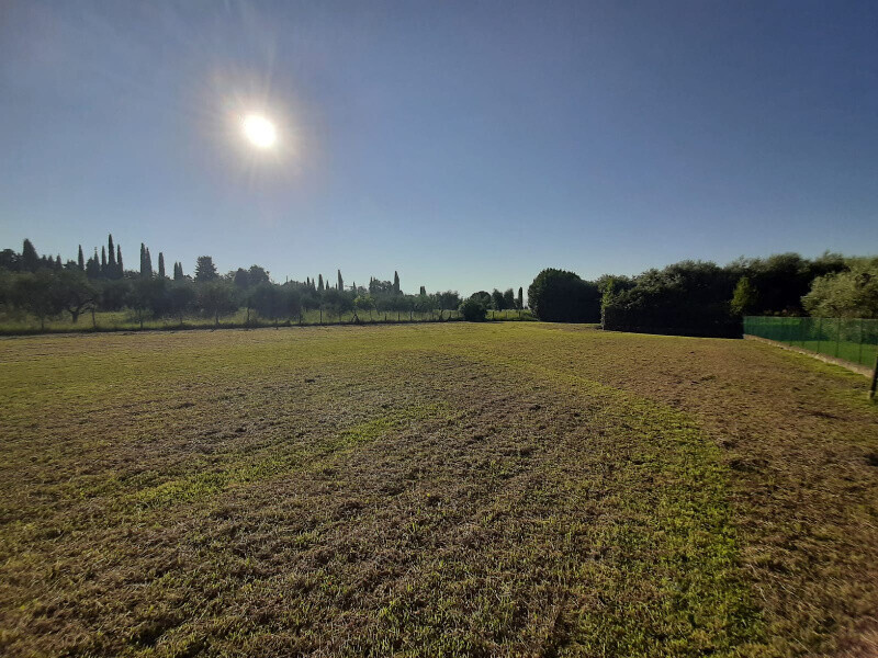 Immagine della proprietà