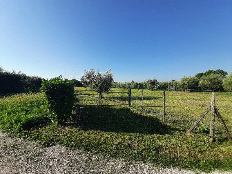 Immagine della proprietà