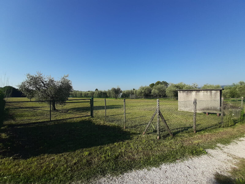 Immagine della proprietà