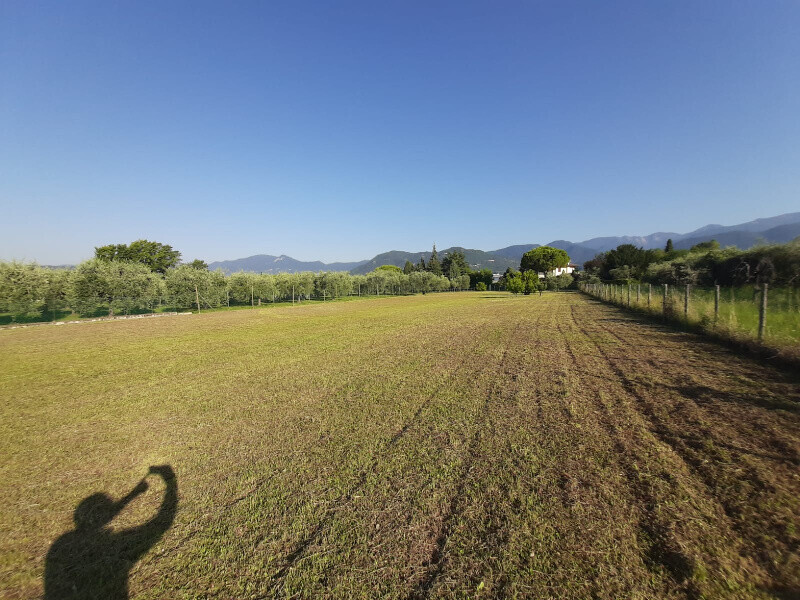 Immagine della proprietà