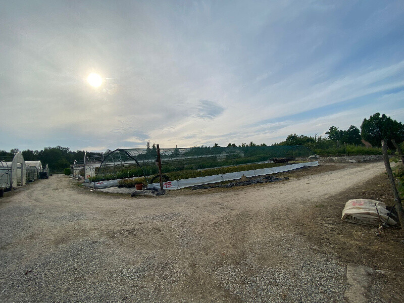 Immagine della proprietà