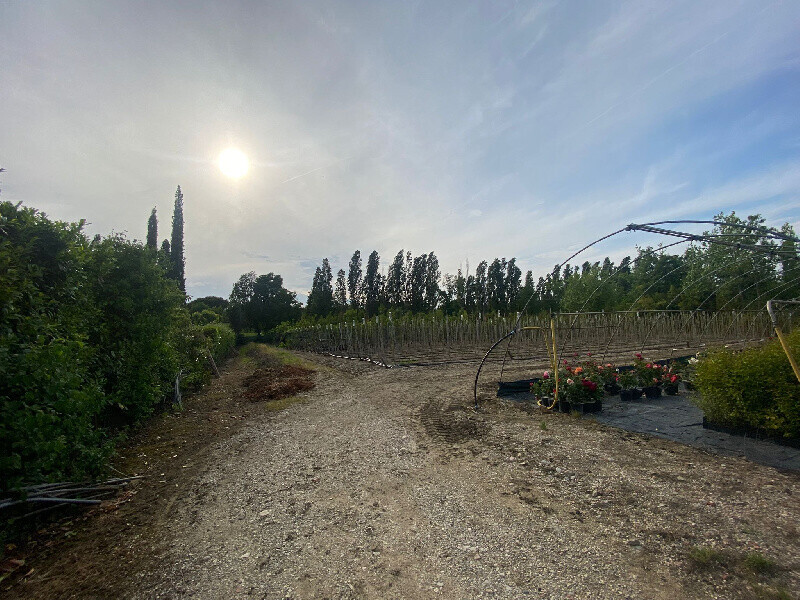 Immagine della proprietà